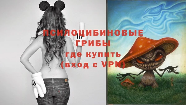 эйфоретик Алексеевка